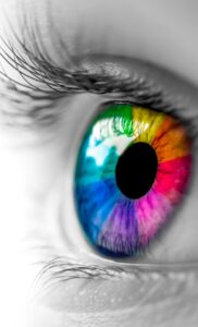 ２０２５年・弊社及び代表の目標